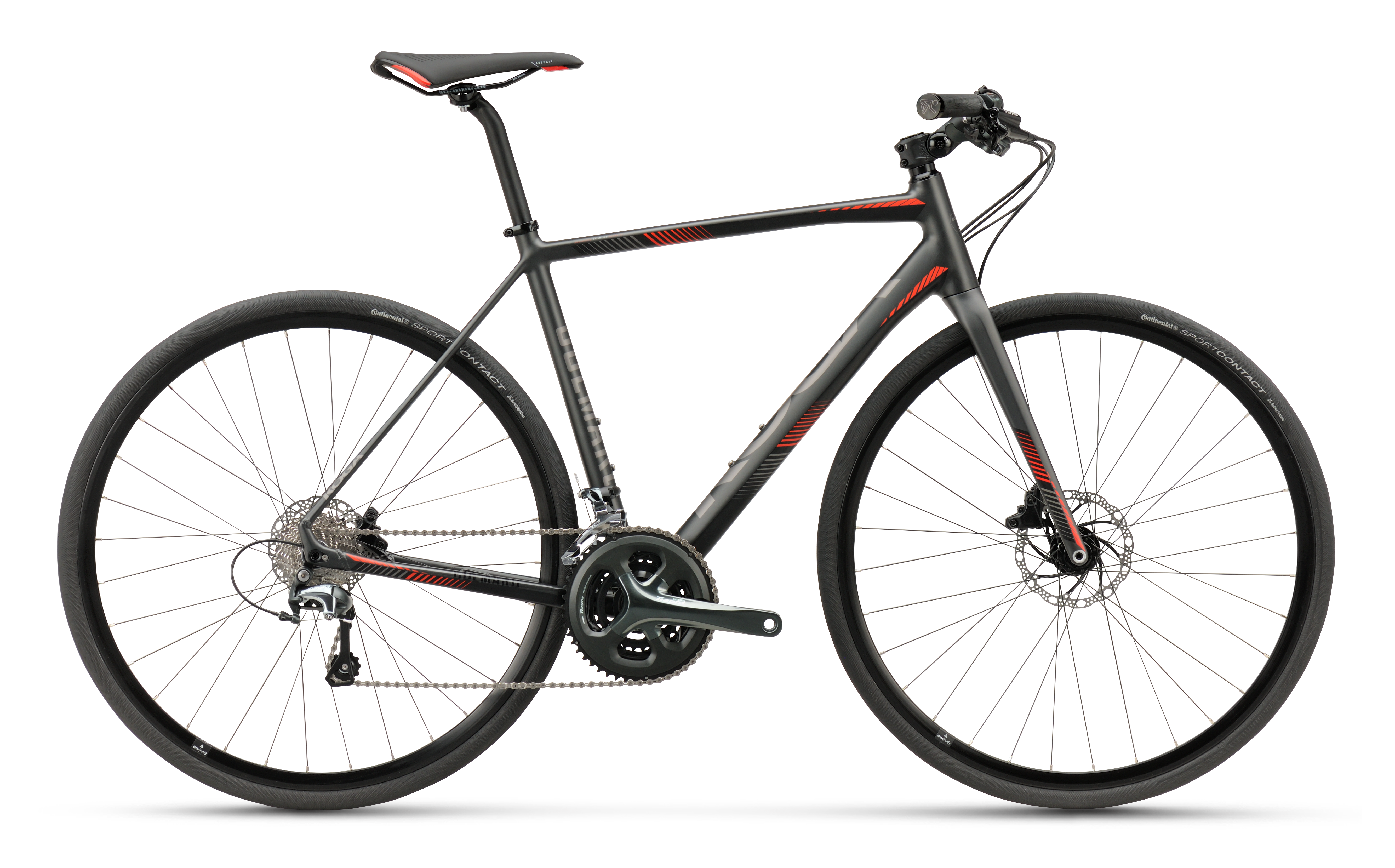 Koga Colmaro Sports | Speed and comfort in perfect harmony