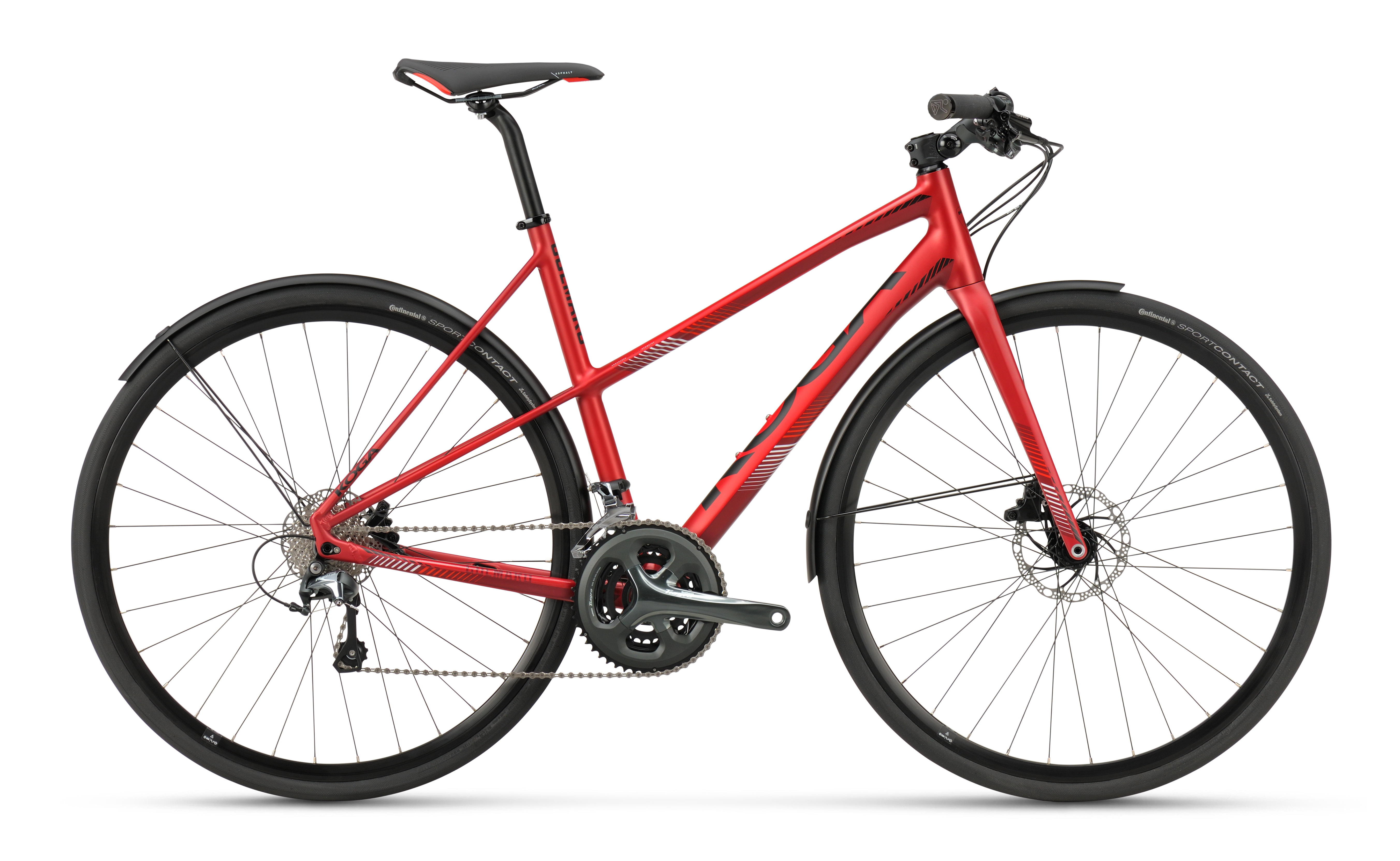 Koga Colmaro Sports | Speed and comfort in perfect harmony