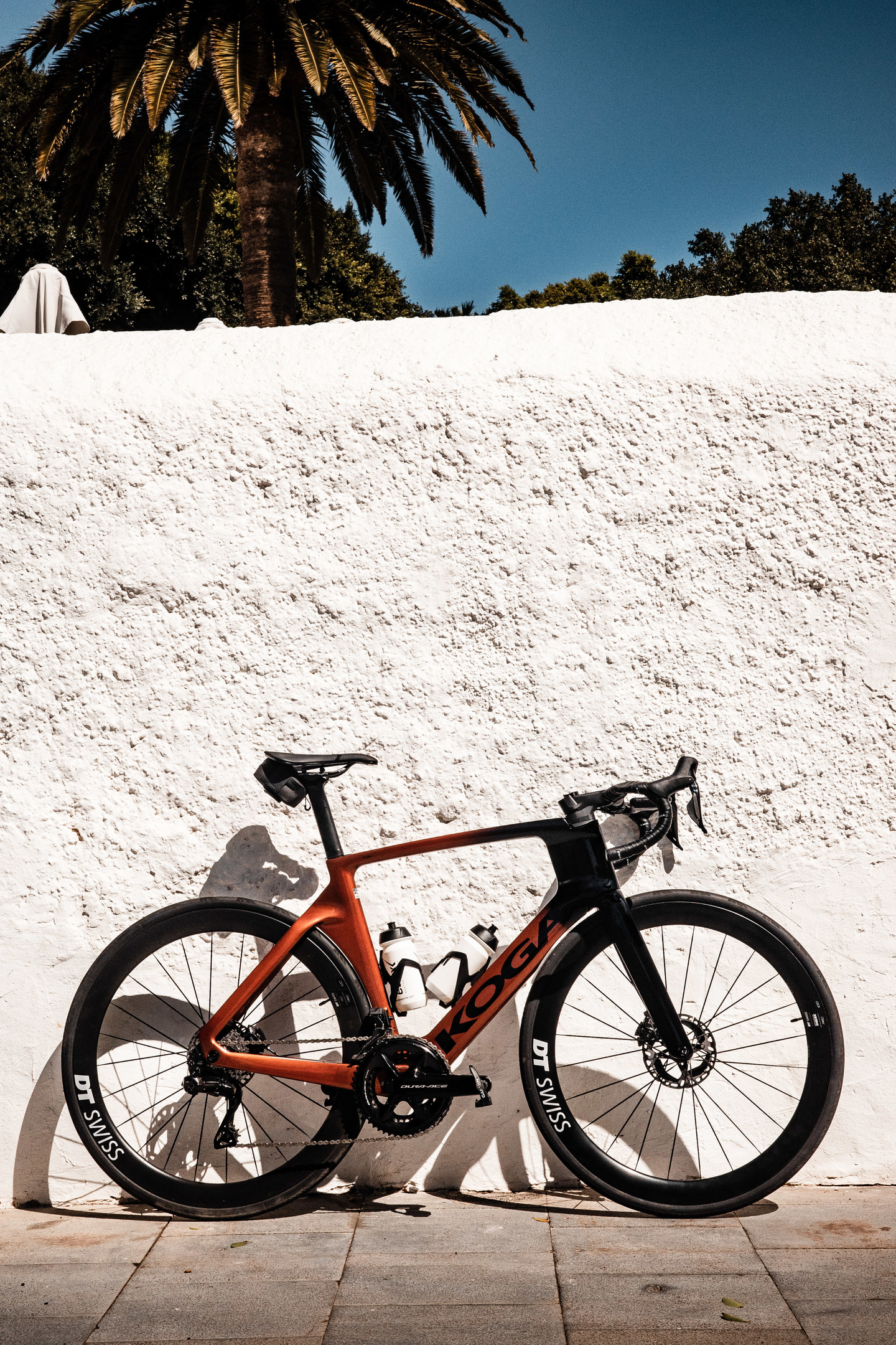 Koga road bike store