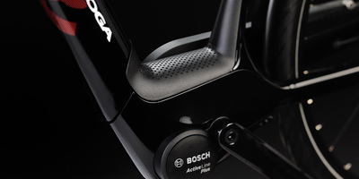 Bosch Motor