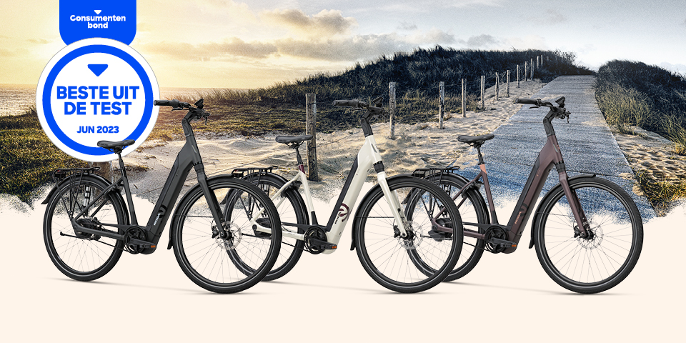 trekking e-bike kaufen DualColorStampe Felgenaufkleber 26