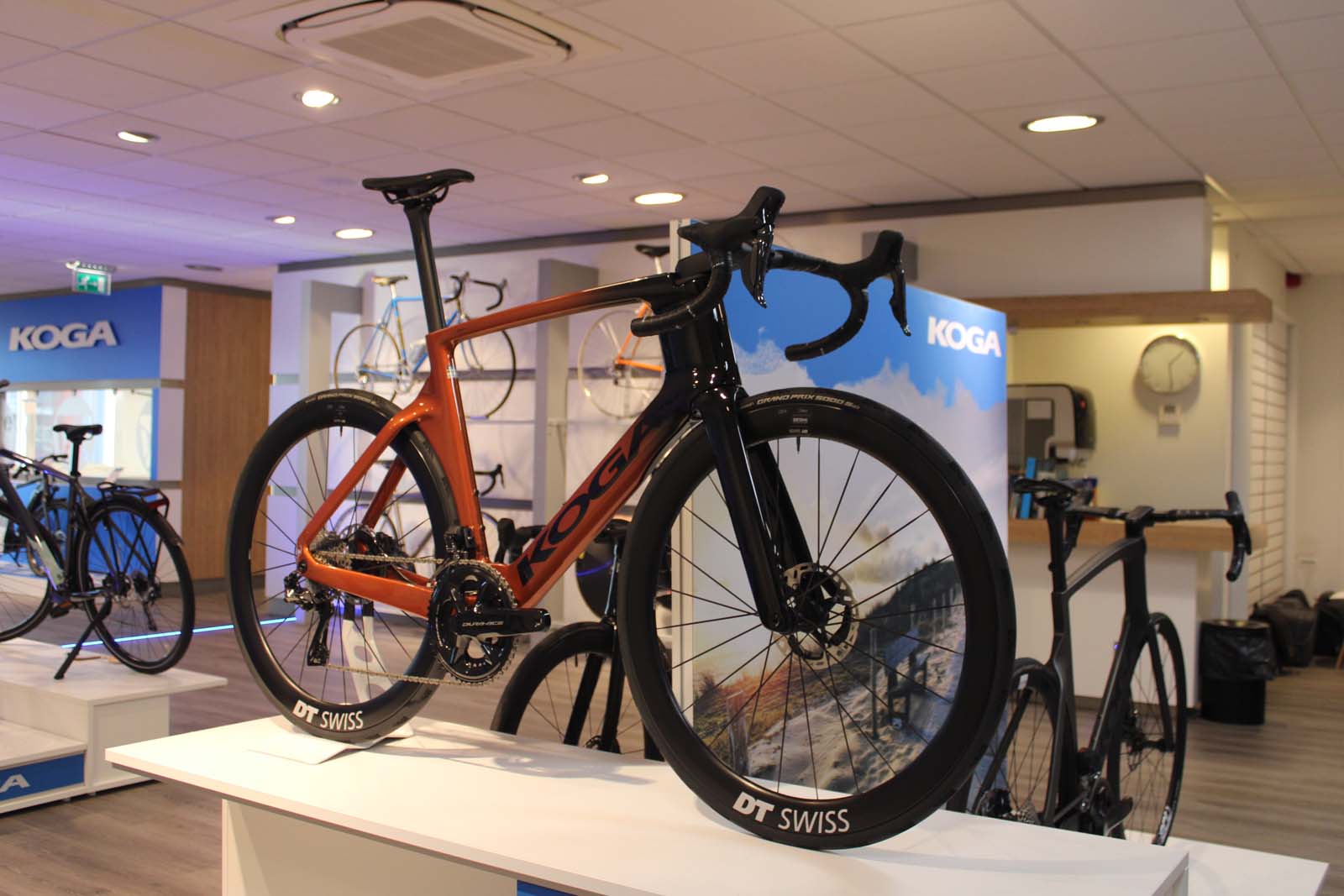 Koga track frame cheap