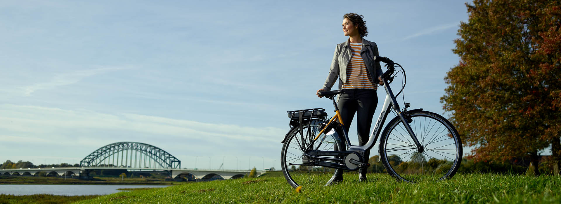 E-Nova yellow grey 1920x700