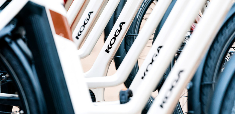 Vergleiche das Vectro mit anderen E-Bikes