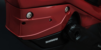 Optimale Integration des Motors im Rahmen